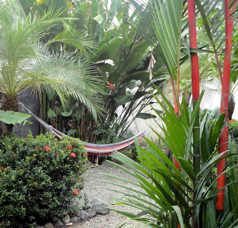 Puerto Jiménez Cabinas Tropicales מראה חיצוני תמונה