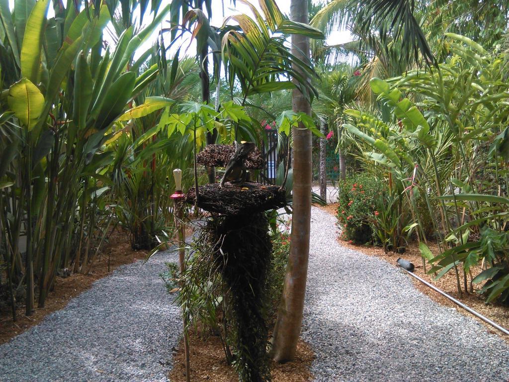 Puerto Jiménez Cabinas Tropicales חדר תמונה