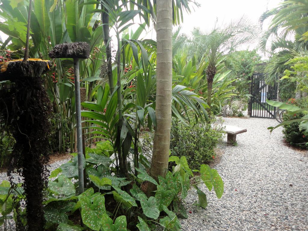 Puerto Jiménez Cabinas Tropicales מראה חיצוני תמונה