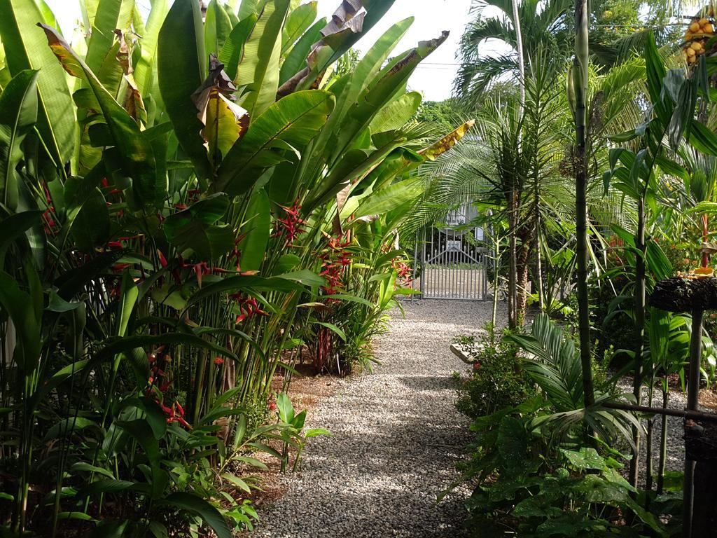 Puerto Jiménez Cabinas Tropicales מראה חיצוני תמונה