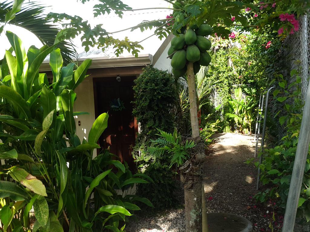 Puerto Jiménez Cabinas Tropicales מראה חיצוני תמונה