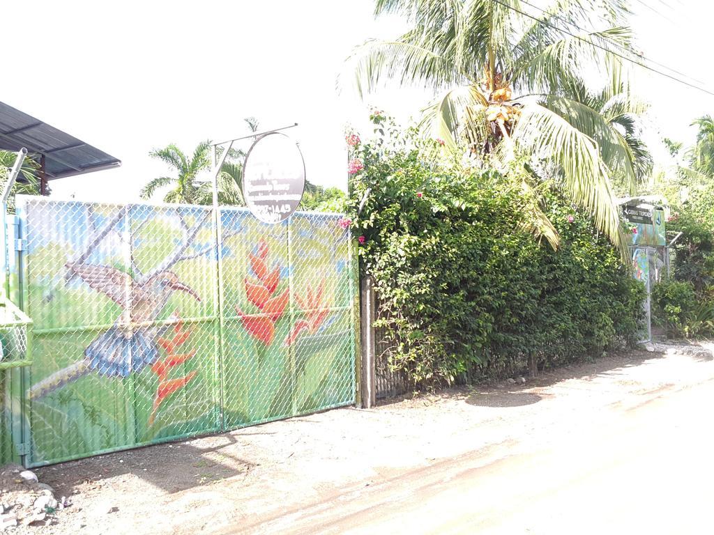 Puerto Jiménez Cabinas Tropicales מראה חיצוני תמונה